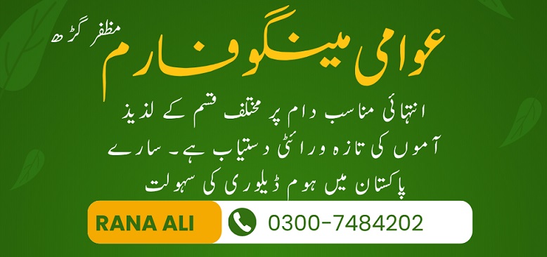 Awami Mango Farm